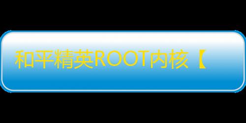 和平精英ROOT内核【蜥蜴定制】和平美化-外挂